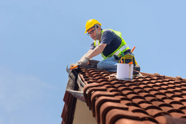 Best Rubber Roofing (EPDM, TPO)  in Fox Farm College, WY